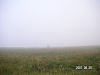 s_PICT0511_thumb.png